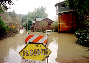 Flooded Street