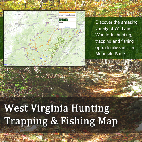 Hunting and Fishing Application Image